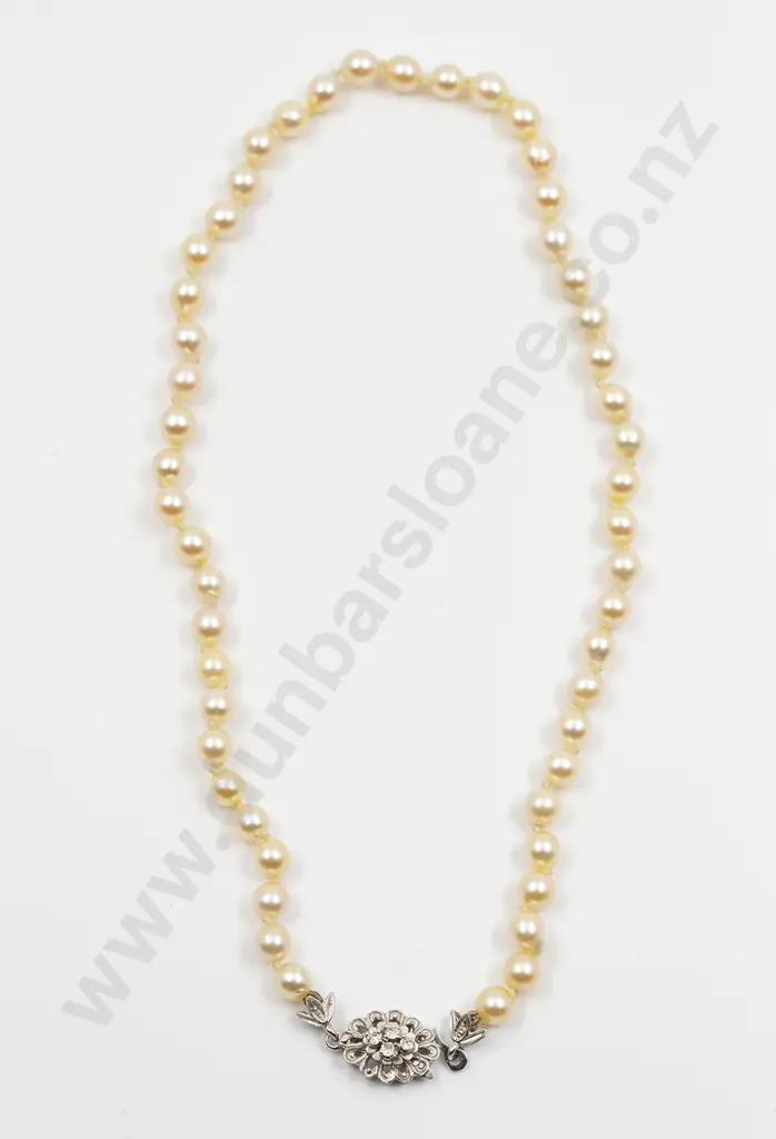 Uniform Single Strand Cultured Pearl Necklace Image 1++