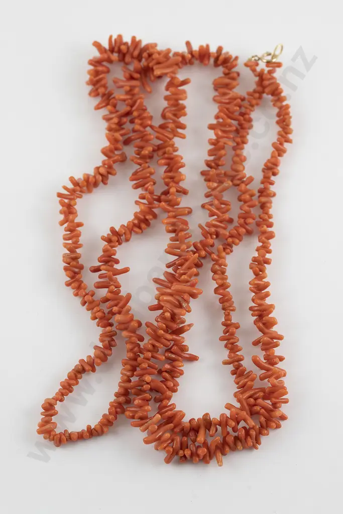 Edwardian Single Strand Small Branch Form Coral Necklace Image 1++