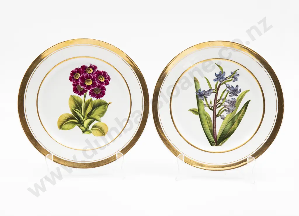 Pair Of Early C19th Paris Porcelain Botanical Plates Image 1++