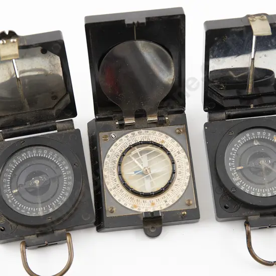 Three Magnetic Marching Compasses