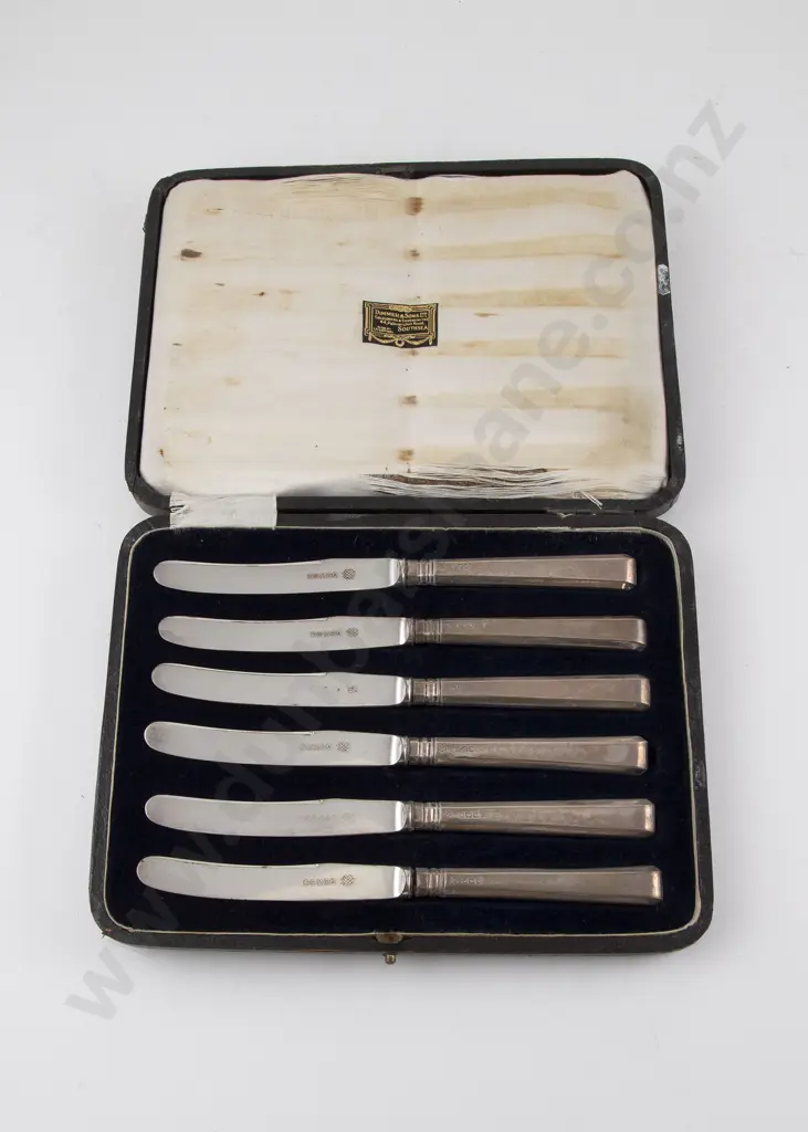 Cased Set Six S/S Handled Art Deco Fruit Knives Image 1++
