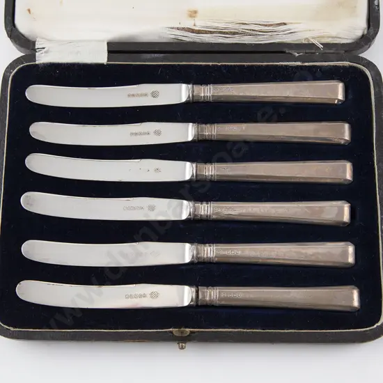 Cased Set Six S/S Handled Art Deco Fruit Knives