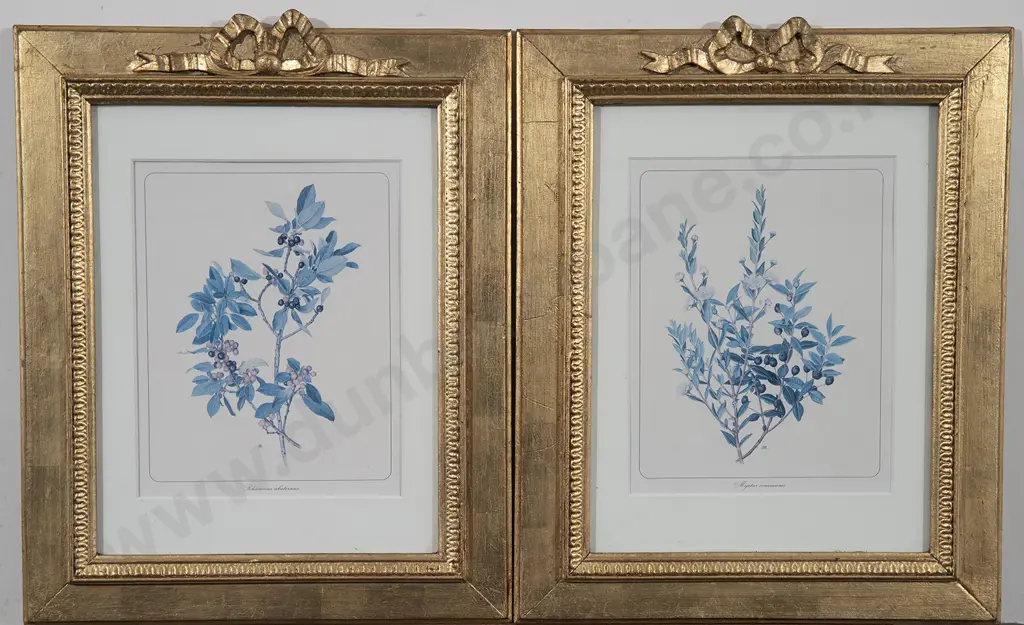 Pair C19th Ribbon Crested Gilt Frames Image 1++