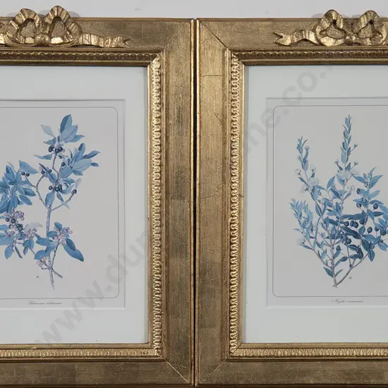 Pair C19th Ribbon Crested Gilt Frames
