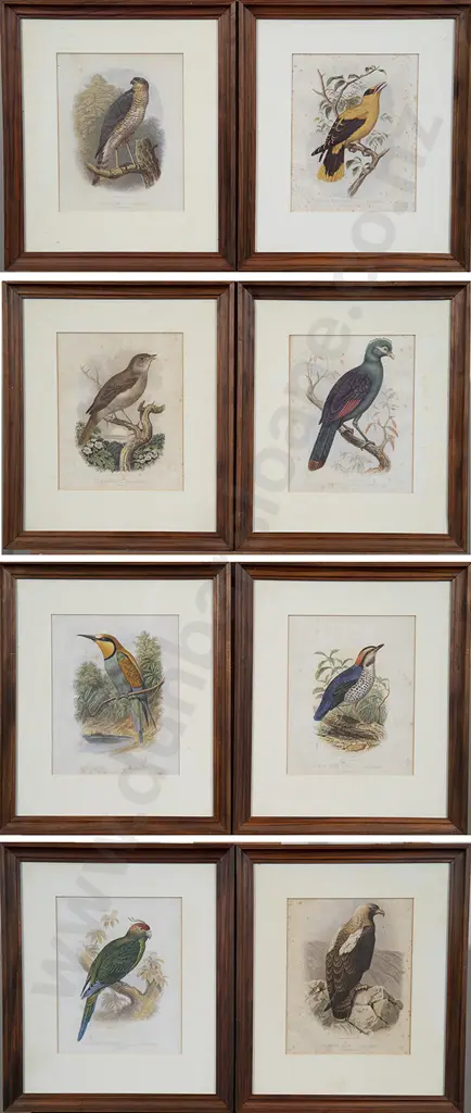 Set of Ten Ornithological Colour Engravings Image 1++