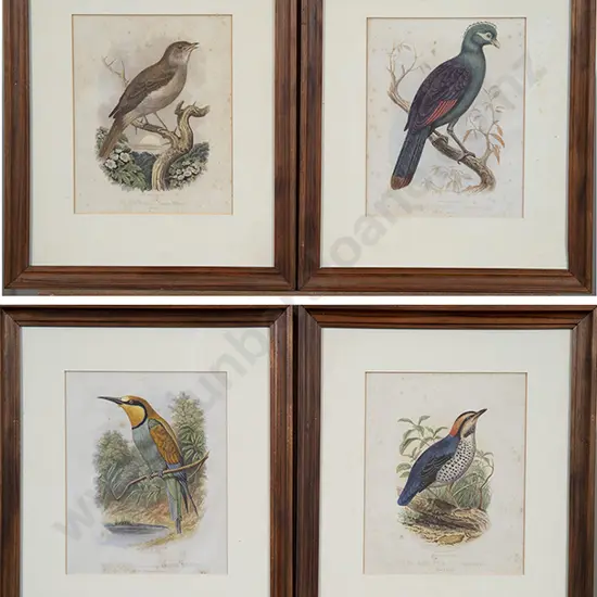 Set of Ten Ornithological Colour Engravings