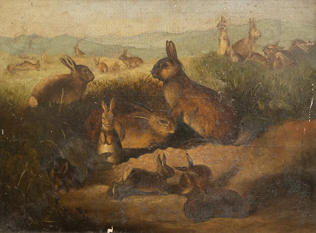 C19th European - Rabbits Image 1++