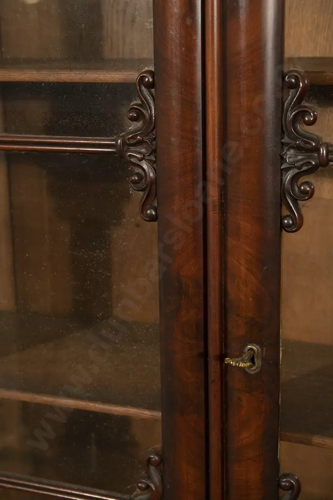 C19th Biedermeier Style Mahogany Display Cabinet Image 1++