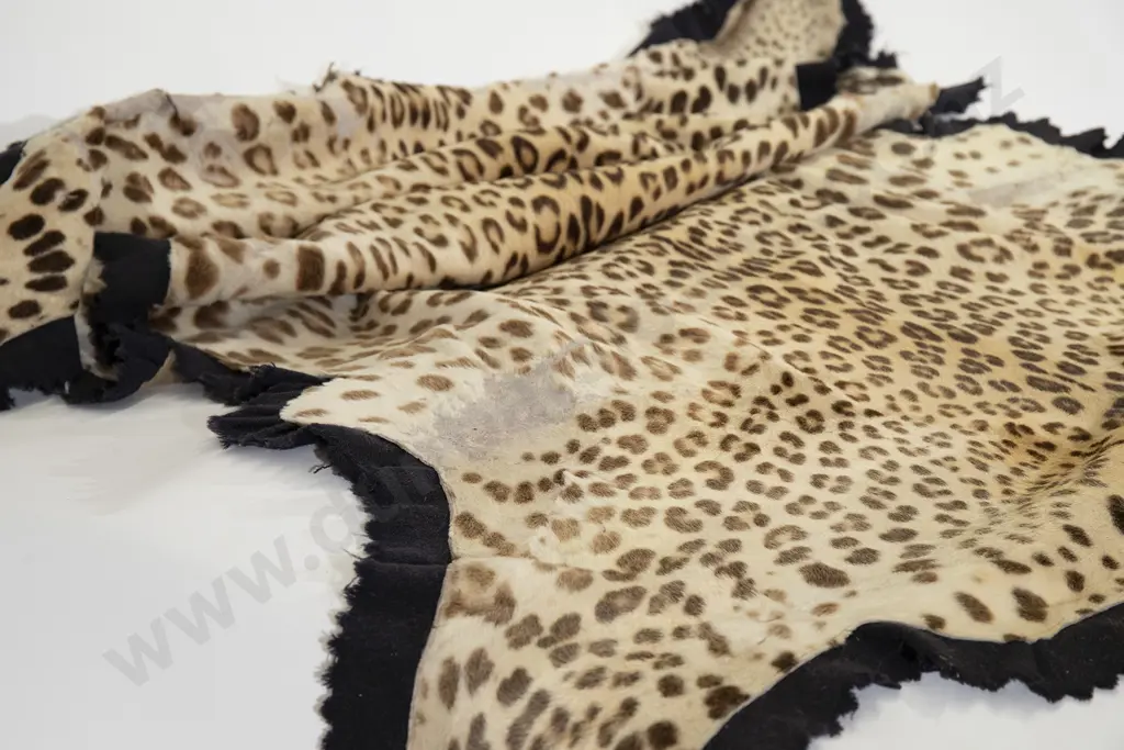 Vintage Taxidermy Leopard Skin with Head Image 1++