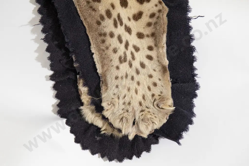 Vintage Taxidermy Leopard Skin with Head Image 1++