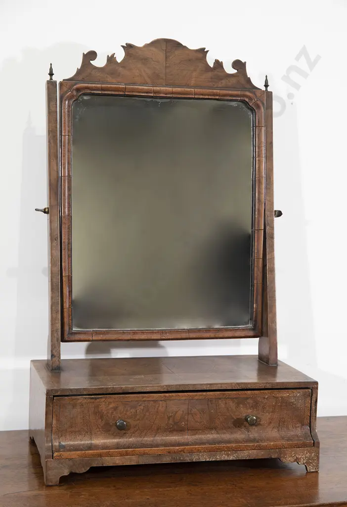 Geo III Walnut Swing Toilet Mirror Image 1++