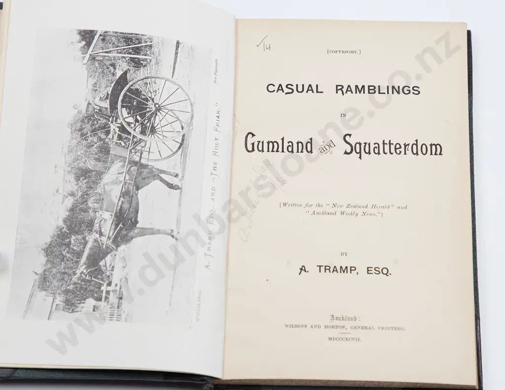 Three 19th Century New Zealand Travel Volumes Image 1++