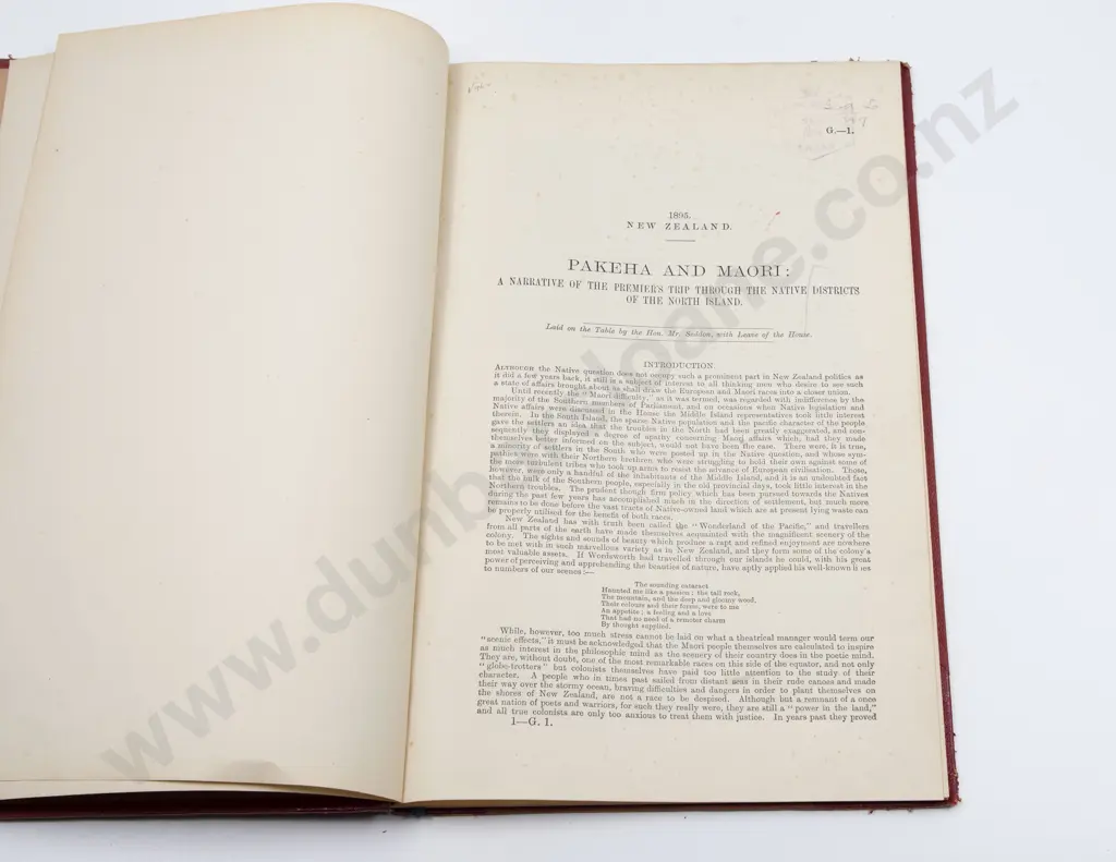 Pakeha And Maori A Narrative Of The Premier's Trip Through The Native Districts Of The North Island 1895 Image 1++