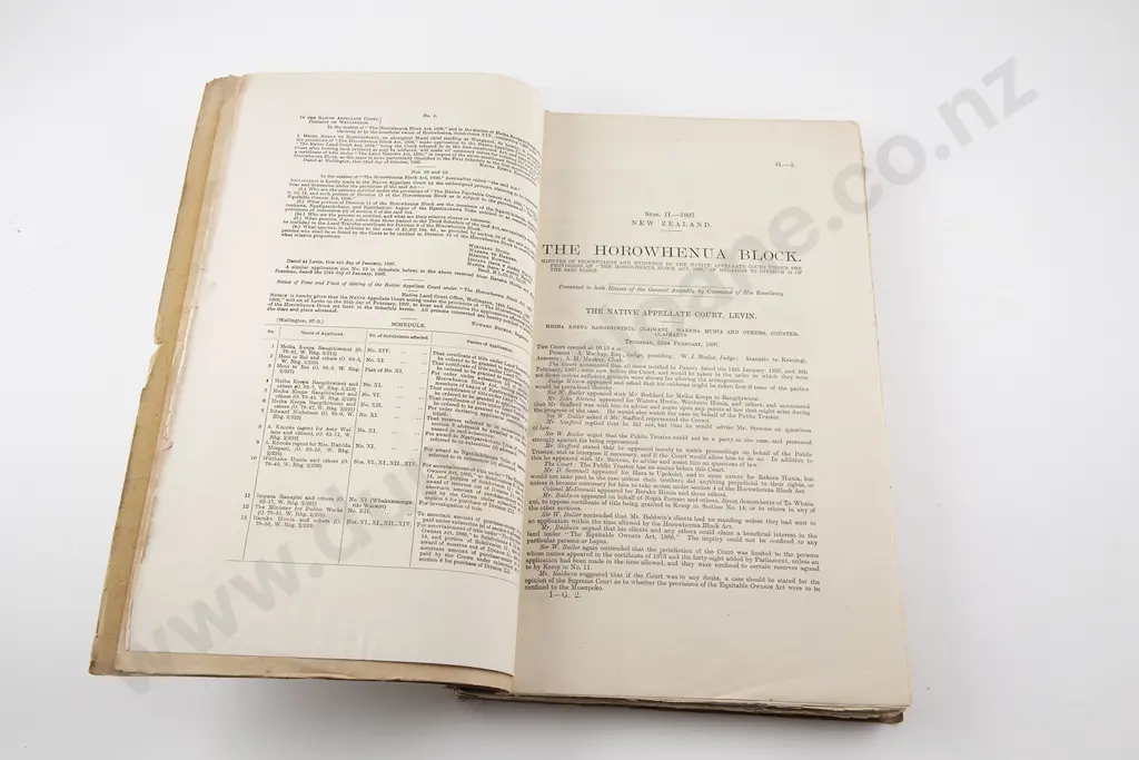The Horowhenua Block Proceedings & Evidence In The Native Appellate Court 1897 Image 1++