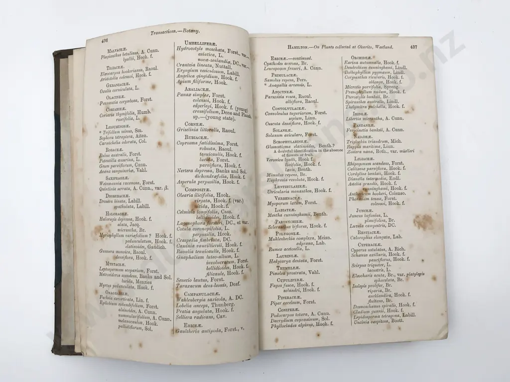Augustus Hamiltons Personal Bound Volume Of Transactions Of The New Zealand Institute 1879-1903 Image 1++