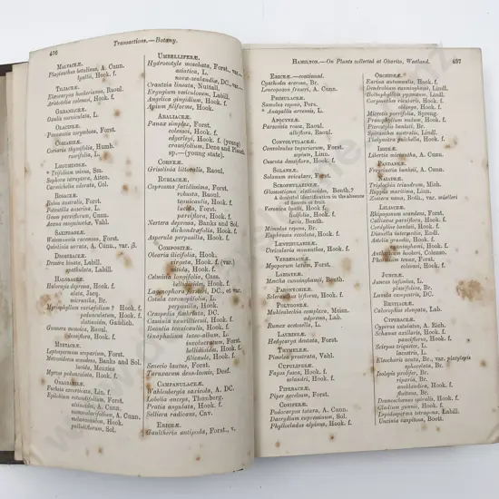 Augustus Hamiltons Personal Bound Volume Of Transactions Of The New Zealand Institute 1879-1903