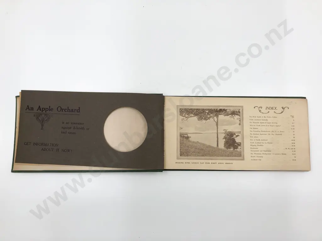 Bound Group Of 3 Vintage NZ Fruit Promotional Booklets Image 1++