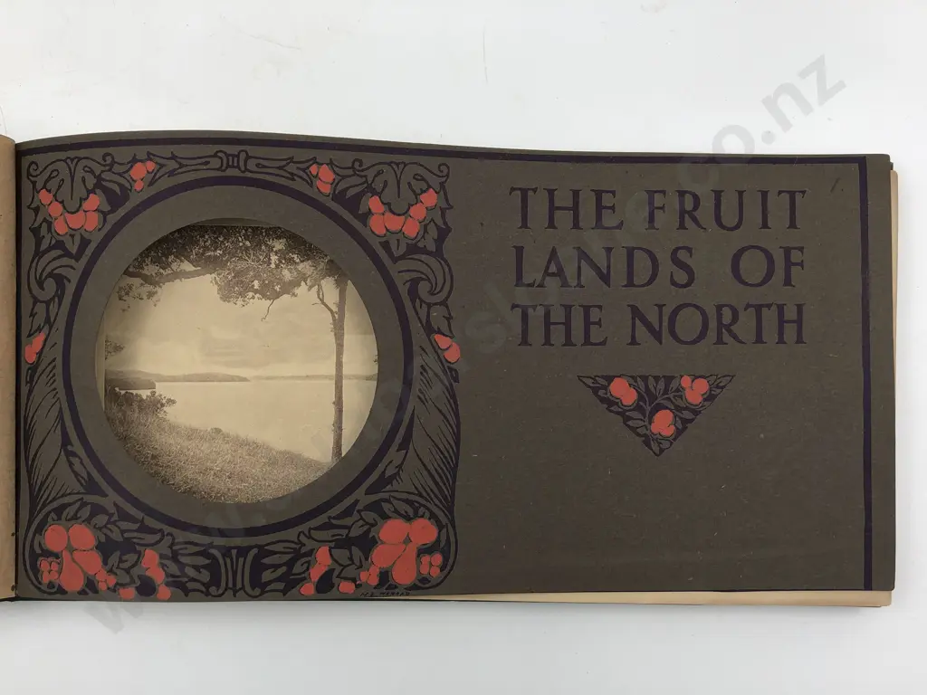 Bound Group Of 3 Vintage NZ Fruit Promotional Booklets Image 1++