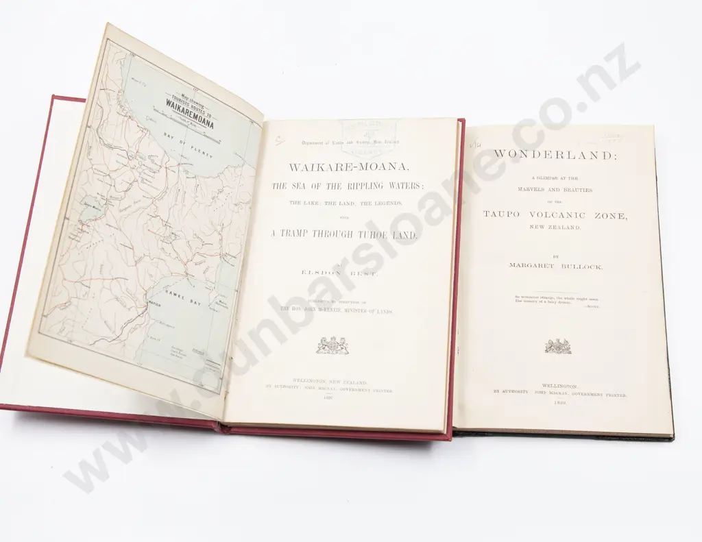 Two Late 19th Century NZ Regional Volumes Image 1++
