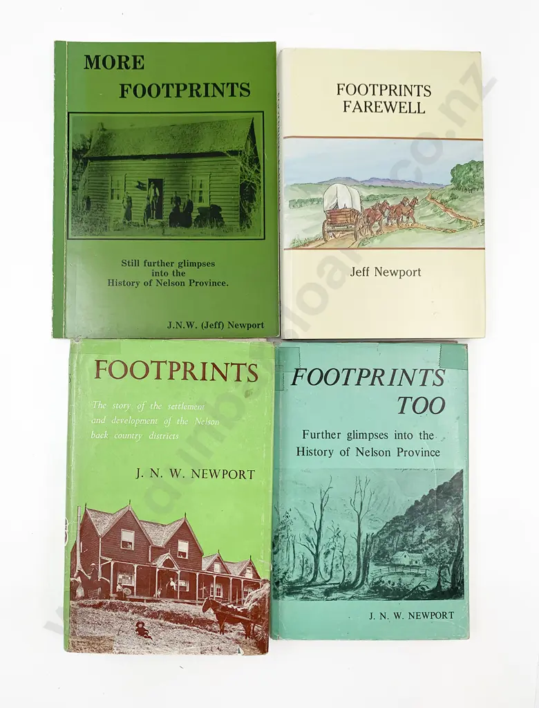 4 Nelson Footprint Volumes Image 1++