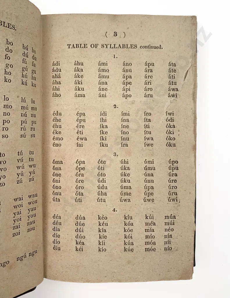 Kendall Thomas & Lee Rev Samuel - A Grammar and Vocabulary of the Language of New Zealand Image 1++
