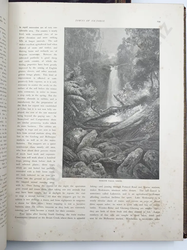 Garran Hon Andrew - The Picturesque Atlas Of Australasia (3 Volumes) Image 1++