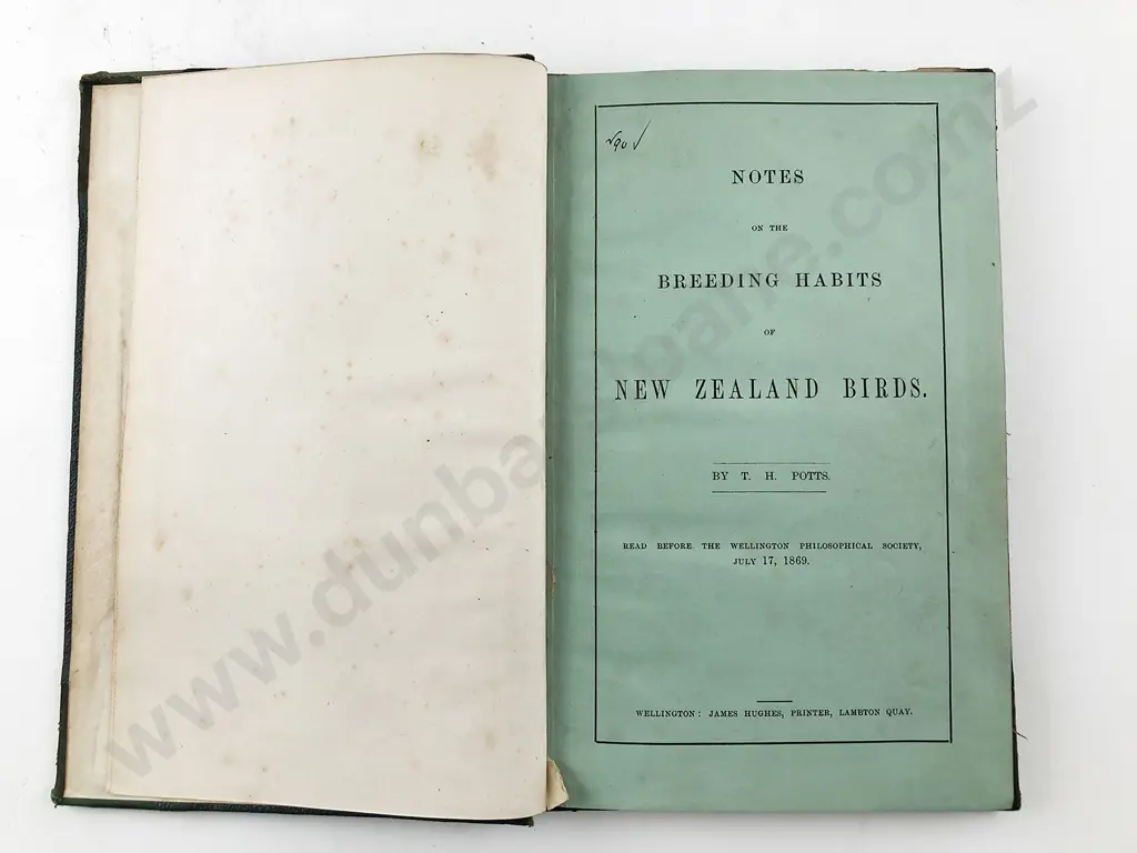 Potts T H - Notes On The Breeding Habits Of New Zealand Birds Image 1++