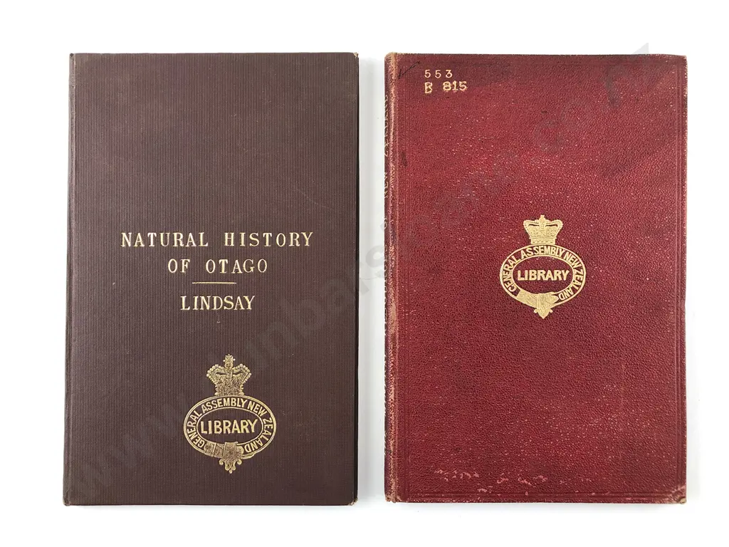 2 19th Century NZ Natural History Mineral/Power Related Volumes Image 1++