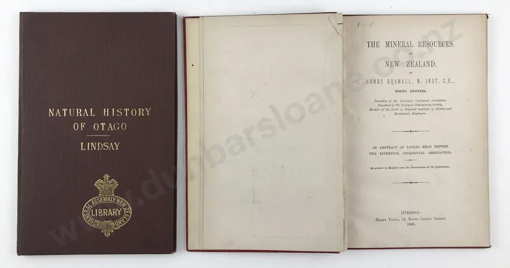 2 19th Century NZ Natural History Mineral/Power Related Volumes Image 1++