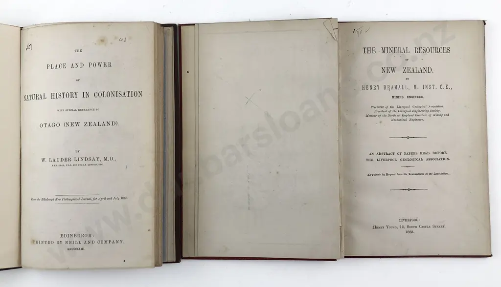 2 19th Century NZ Natural History Mineral/Power Related Volumes Image 1++
