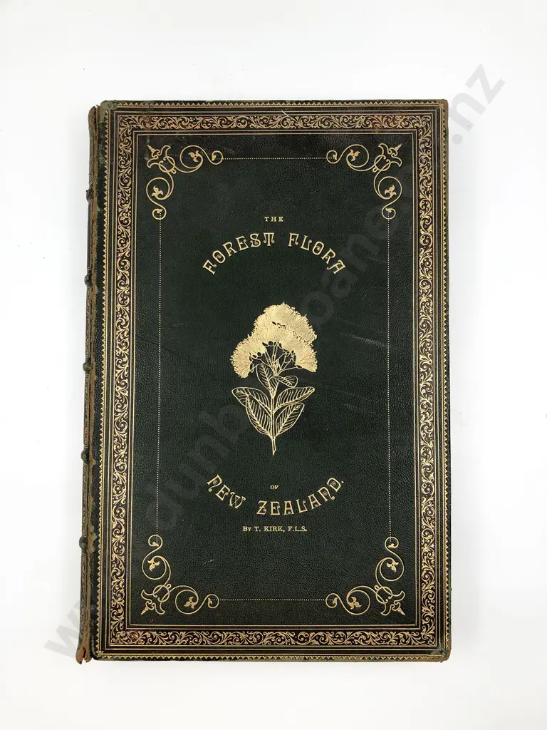 Kirk Thomas - The Forest Flora Of New Zealand Image 1++