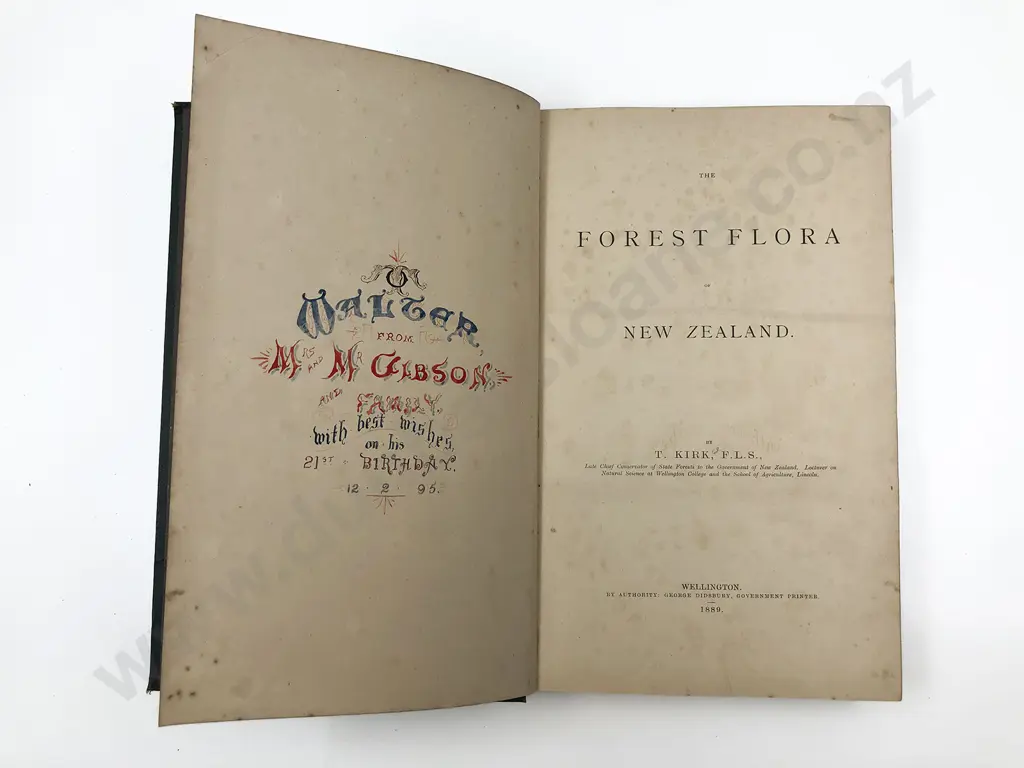 Kirk Thomas - The Forest Flora Of New Zealand Image 1++