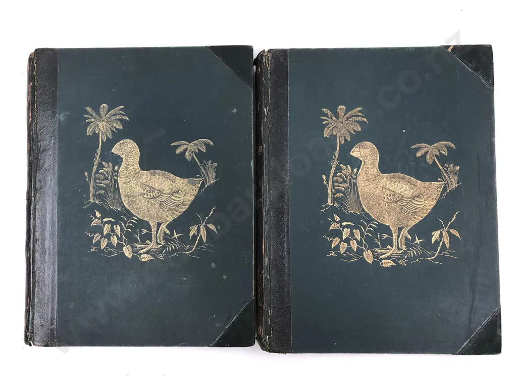 Buller Sir Walter - A History of the Birds Of New Zealand (2 Volumes 1888) Image 1++