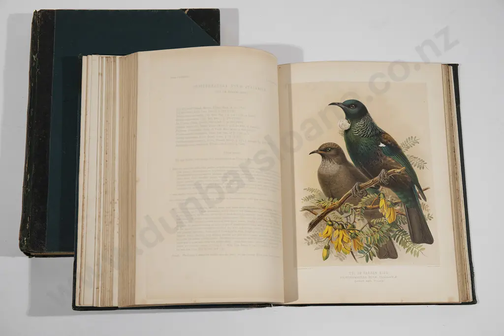 Buller Sir Walter - A History of the Birds Of New Zealand (2 Volumes 1888) Image 1++