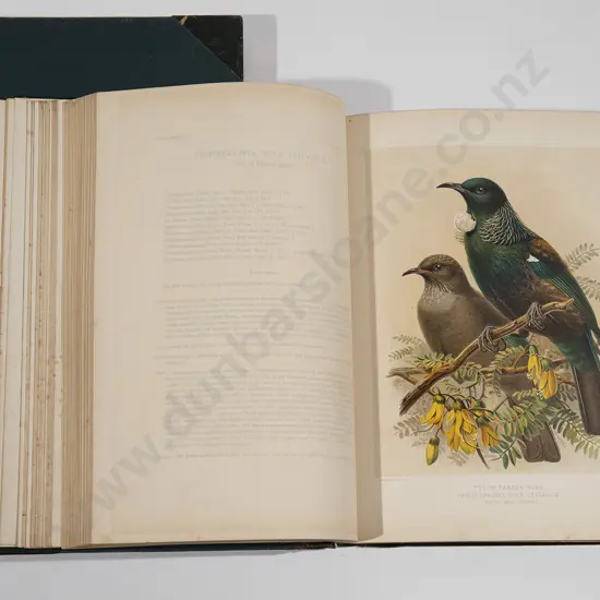 Buller Sir Walter - A History of the Birds Of New Zealand (2 Volumes 1888)