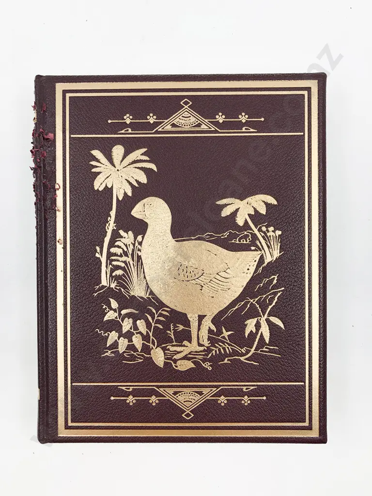 Buller Walter Lawry - A History Of The Birds Of New Zealand Image 1++