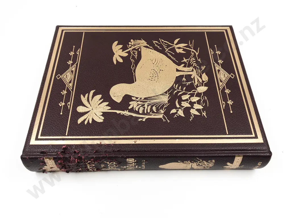 Buller Walter Lawry - A History Of The Birds Of New Zealand Image 1++