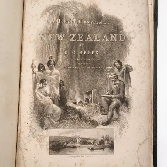 Brees Samuel Charles - Pictorial Illustrations of New Zealand