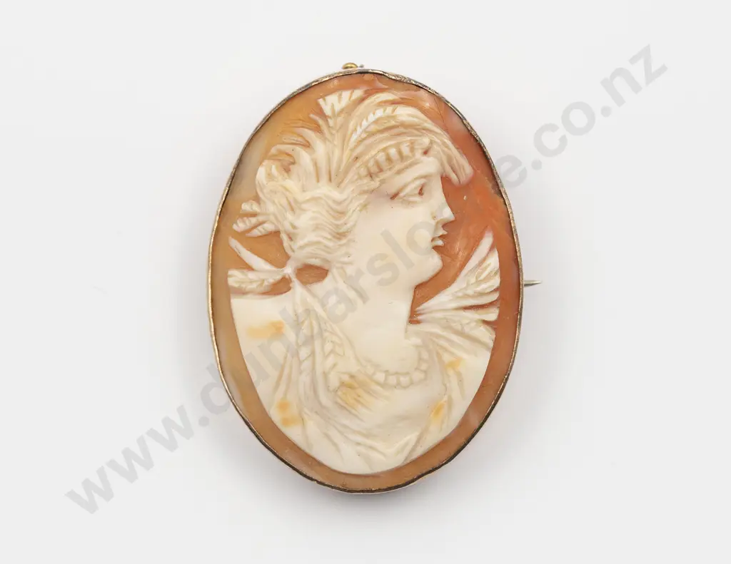9ct Framed Portrait Cameo Brooch Image 1++