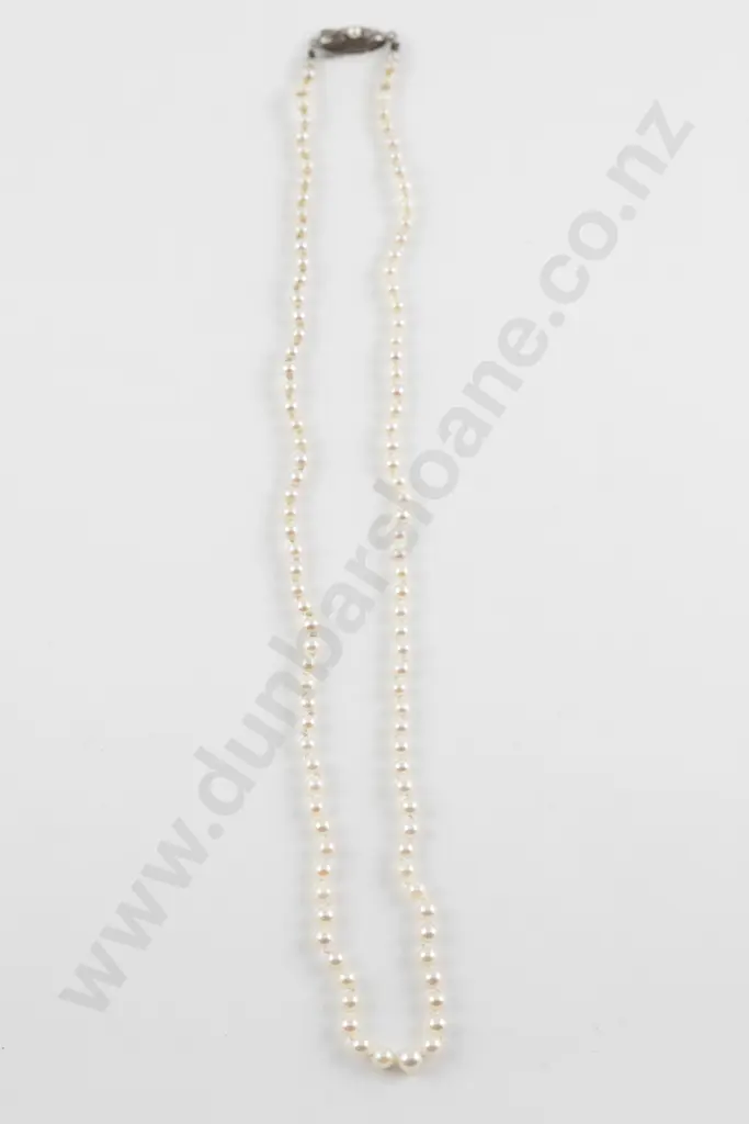 Single Strand Graduated Cultured Pearl Necklace Image 1++