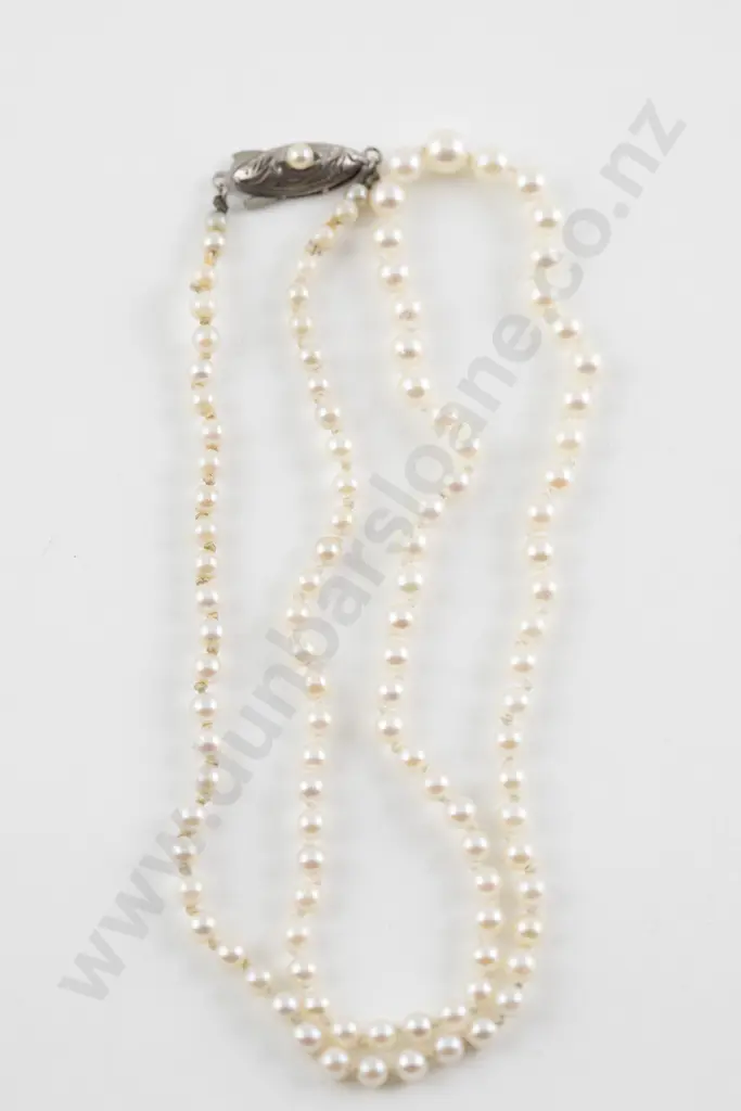Single Strand Graduated Cultured Pearl Necklace Image 1++