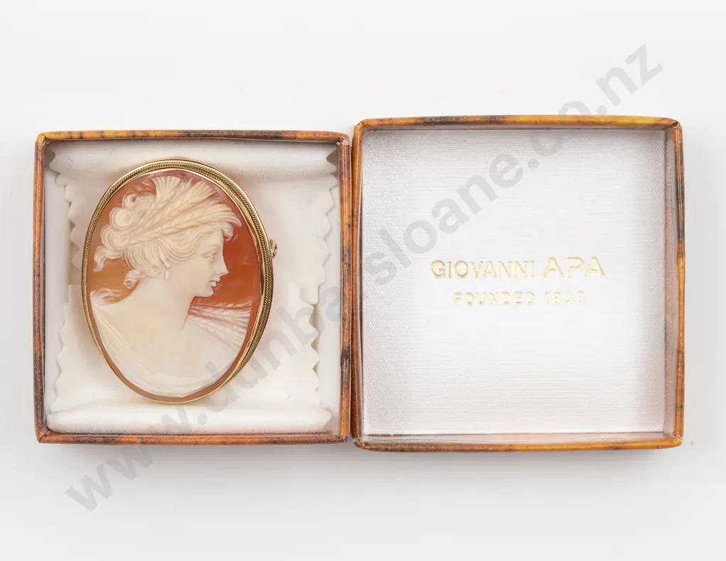 Giovanni APA 18ct Framed Classical Portrait Cameo Brooch Image 1++
