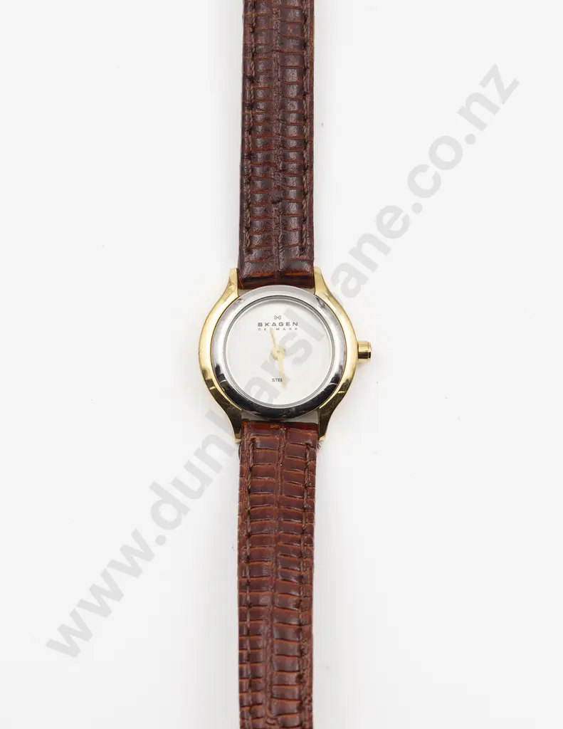 Skagen Denmark Quartz Ladies Wrist Watch Image 1++