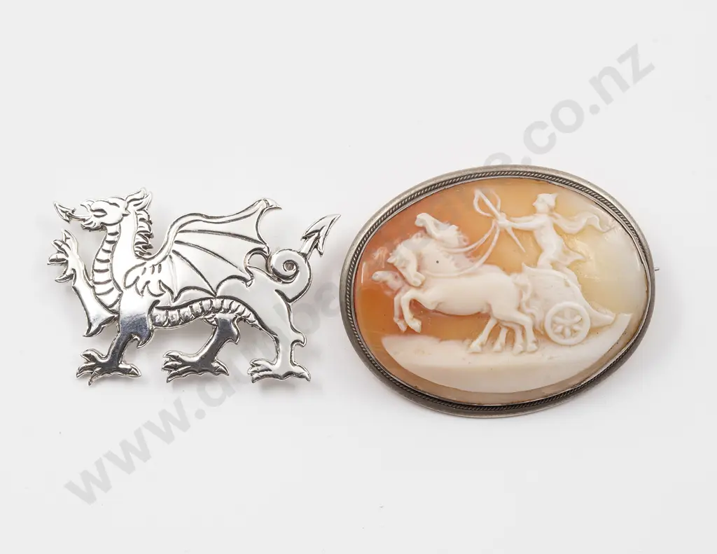 S/S Mounted Cameo Brooch Image 1++