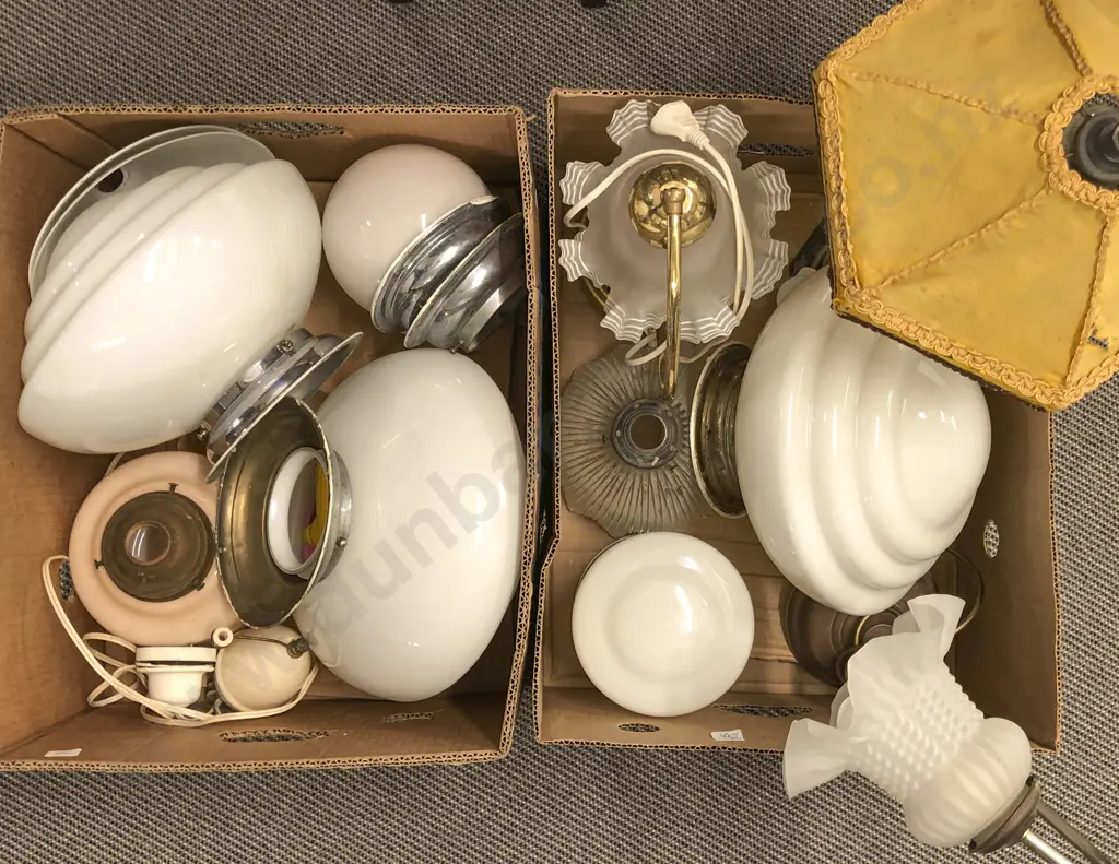 2 Boxes of Assorted Lamps and Glass Light Shades etc. Image 1++