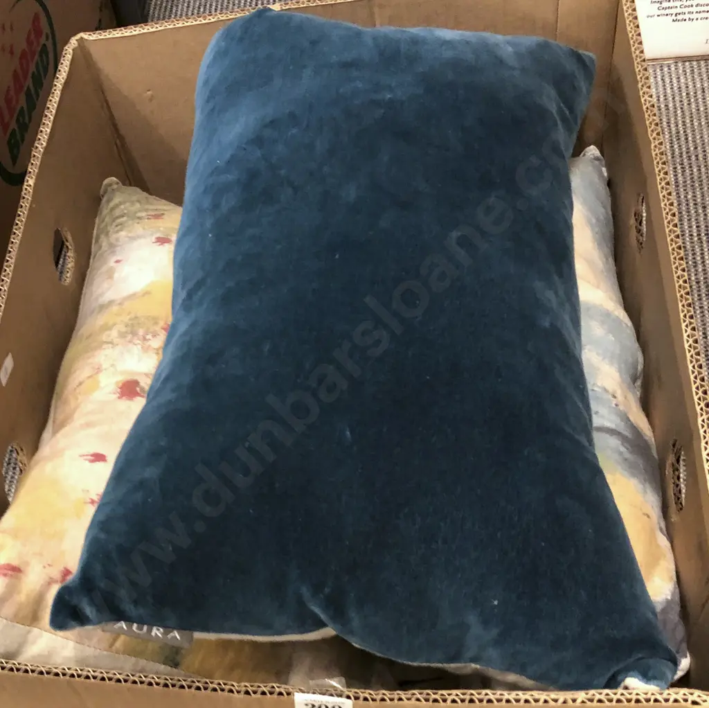 2 Haby Bonomo Designer Cushions Together With Tracie Ellis Cushion Image 1++