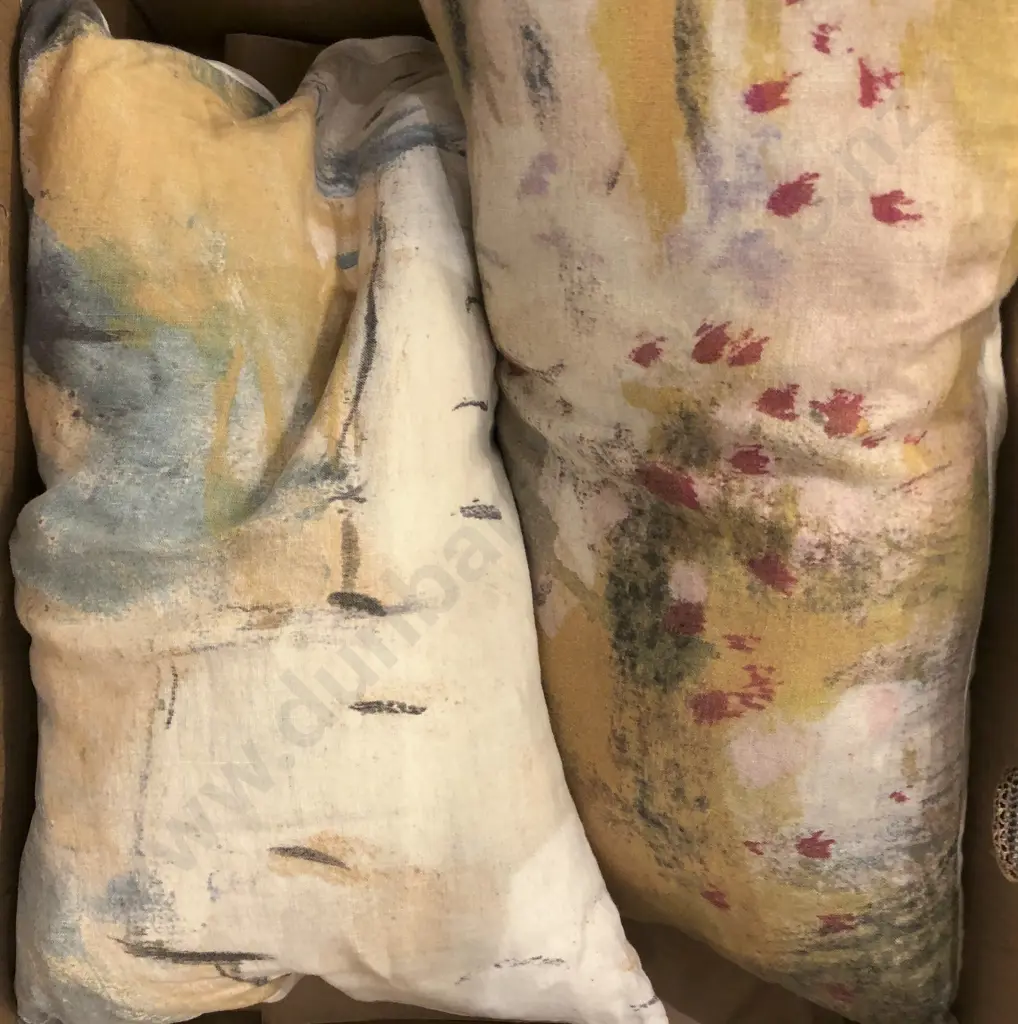 2 Haby Bonomo Designer Cushions Together With Tracie Ellis Cushion Image 1++