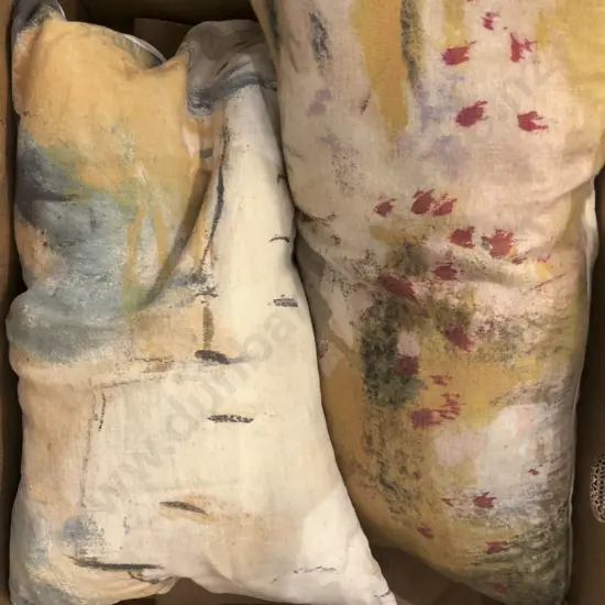2 Haby Bonomo Designer Cushions Together With Tracie Ellis Cushion
