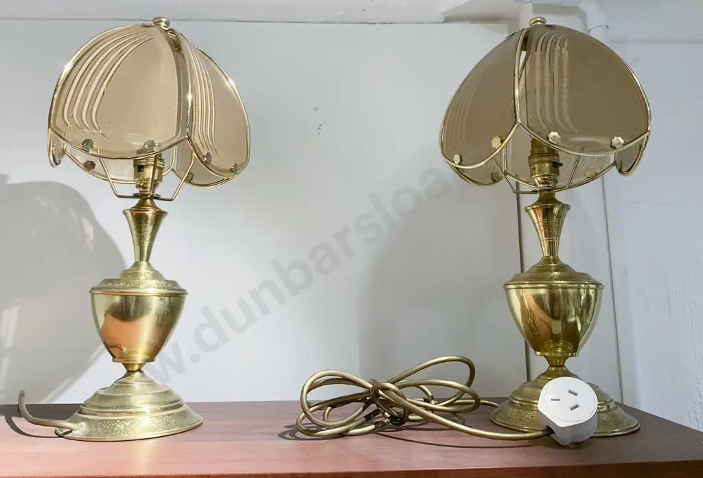Modern Bookcase and 4 Lamps Together With 5 Framed Works Image 1++