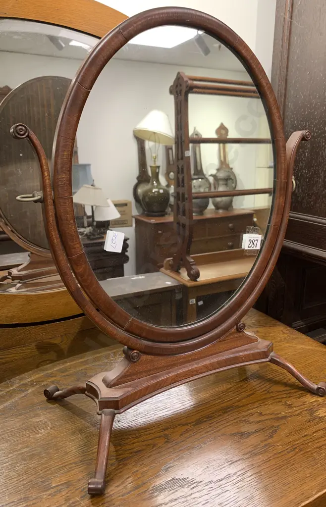Toilet Swing Mirror Image 1++